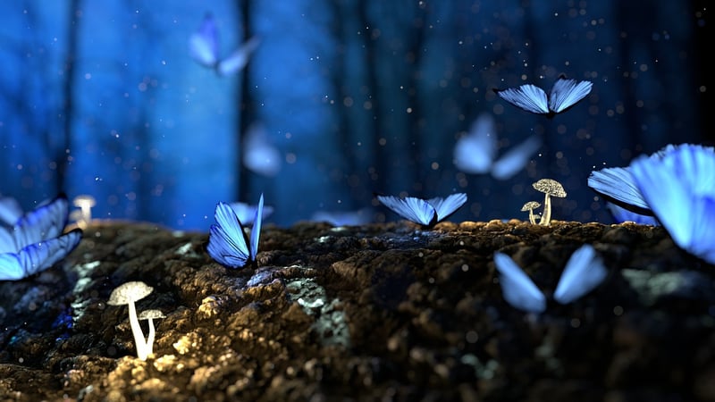 Magical Forest Decor